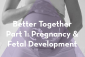 Thumbnail image 1 for Better Together Part 1: Pregnancy & Fetal Development
